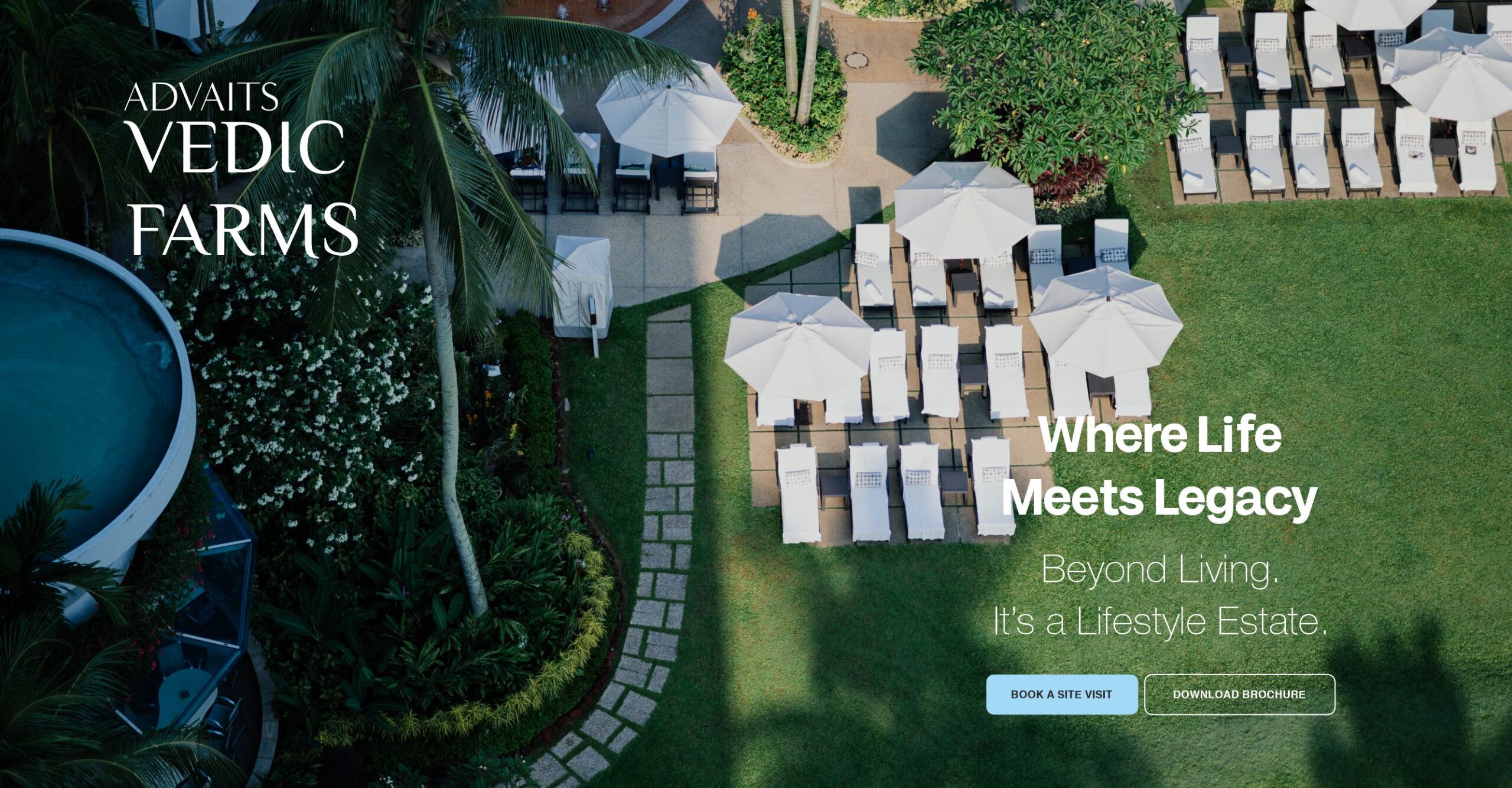 Lost in Neon Thought