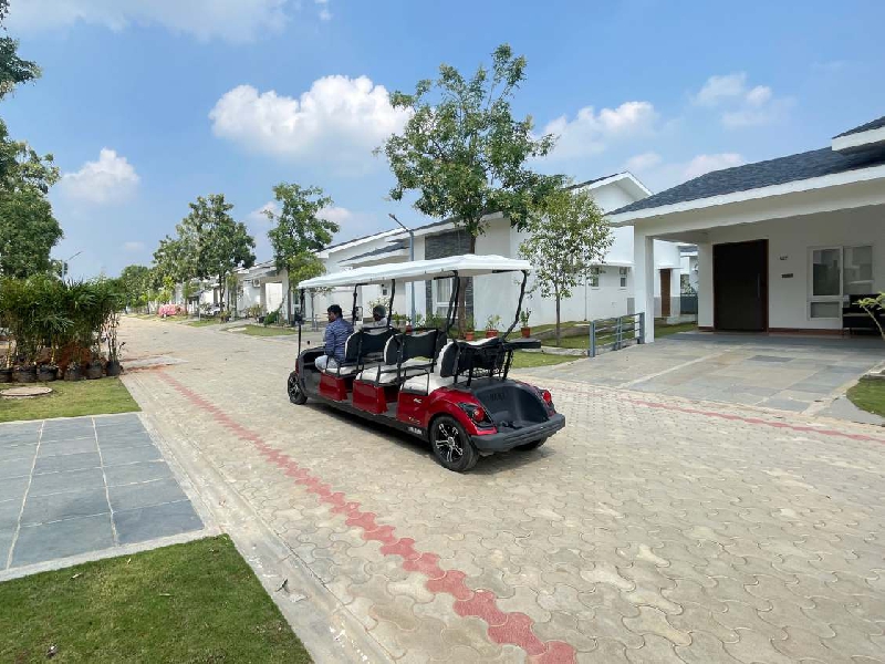 Golf Buggy Transportation